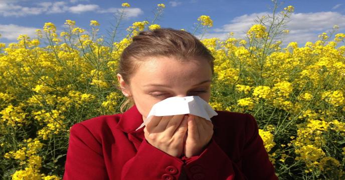 allergy-g2c2d977bf_1920_0.jpg
