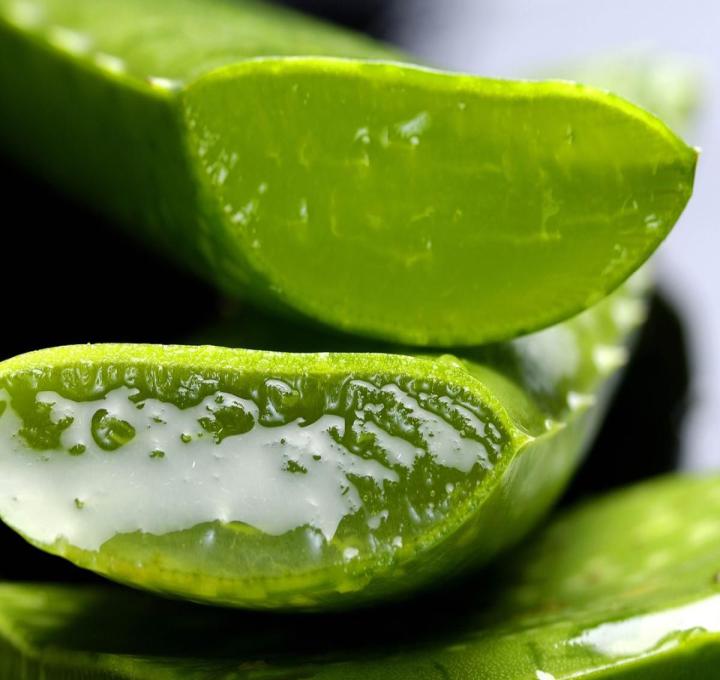 aloe-2163120_1920_1_0.jpg