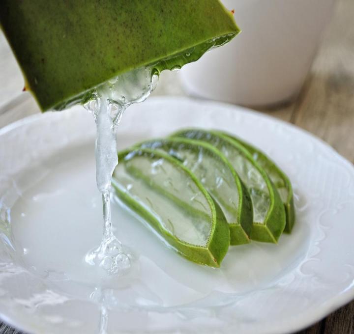aloe-4529704_1920_0.jpg