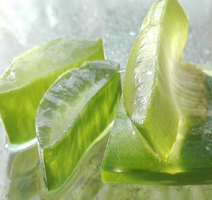 aloe-ga9c75676a_1920_0.jpg
