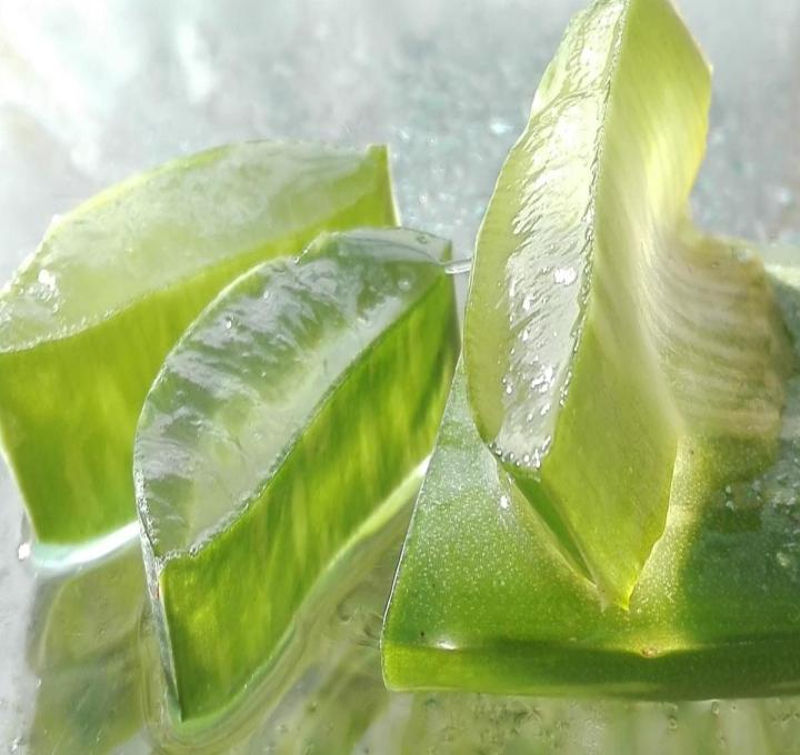 aloe-gb990821bd_1280_0.jpg