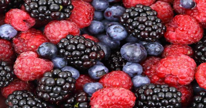 berries-g6cfc5d5d6_1920_0.jpg