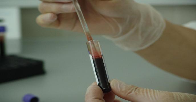 blood-gac66c494c_1920_0.jpg