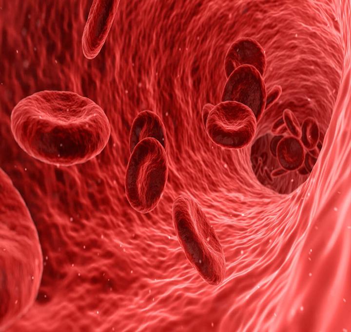 blood_0.jpg