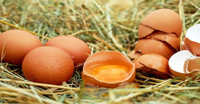 eggs-1510449_1920_0.jpg