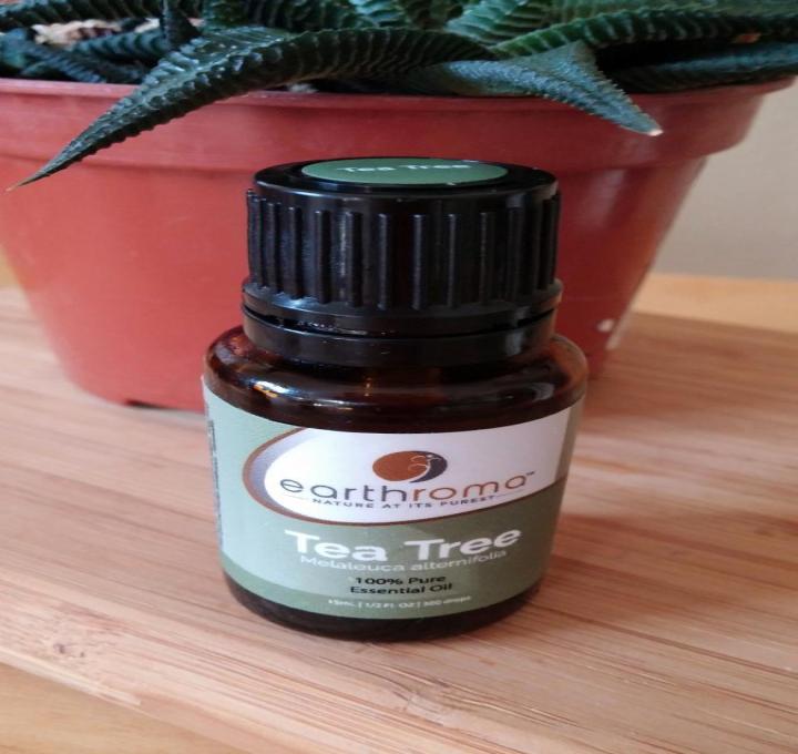 essential-oil-1544443_1920_0.jpg