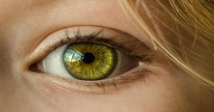 eye-g18011f112_1920_1_0.jpg