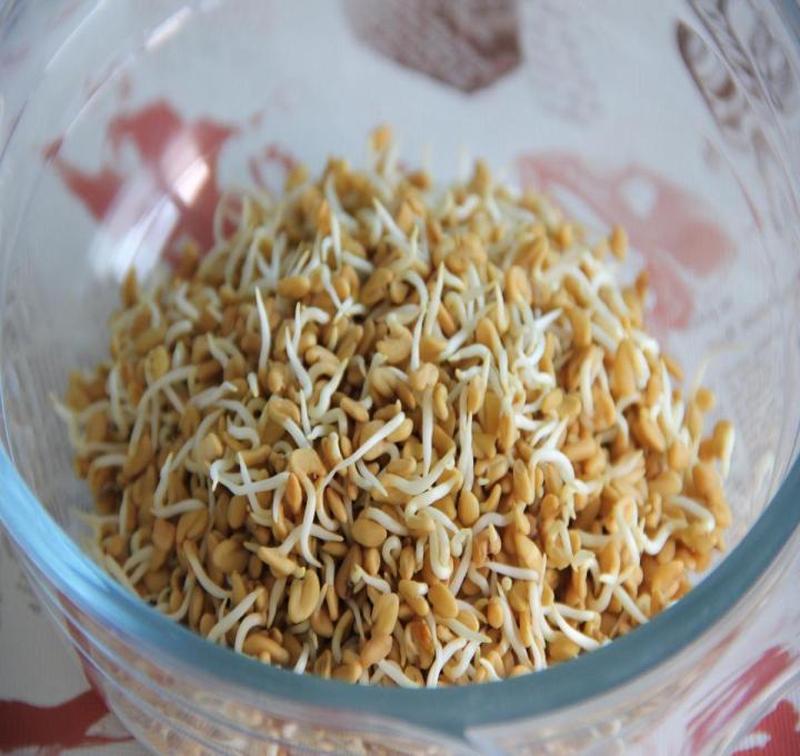 food-g8b754678f_1920_0.jpg