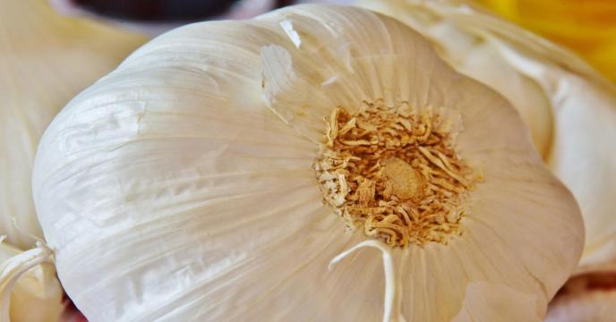 garlic-gec6f1f843_1920_0.jpg