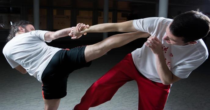 kung-fu-gb29912448_1920_0.jpg
