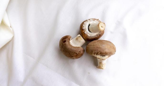 mashroom-g65723c9e5_1920_0.jpg