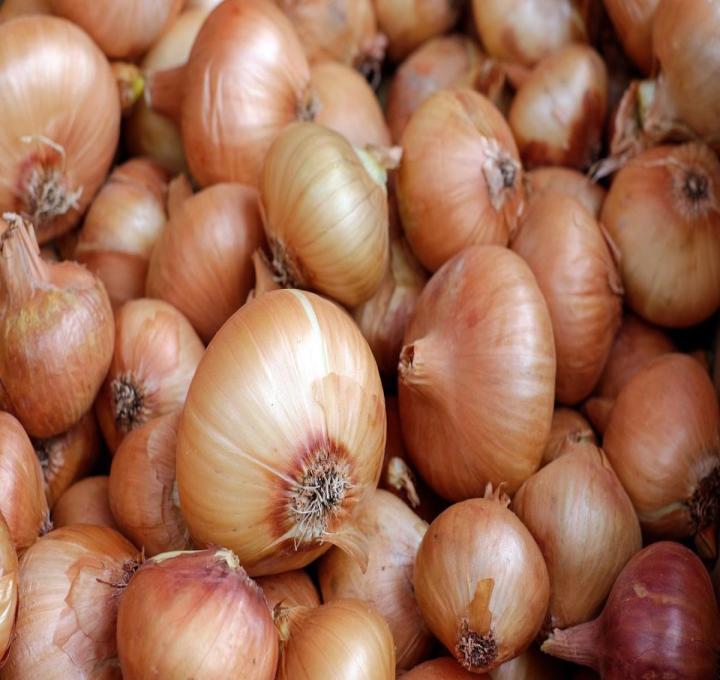 onions-g87f9248d9_1920_0.jpg