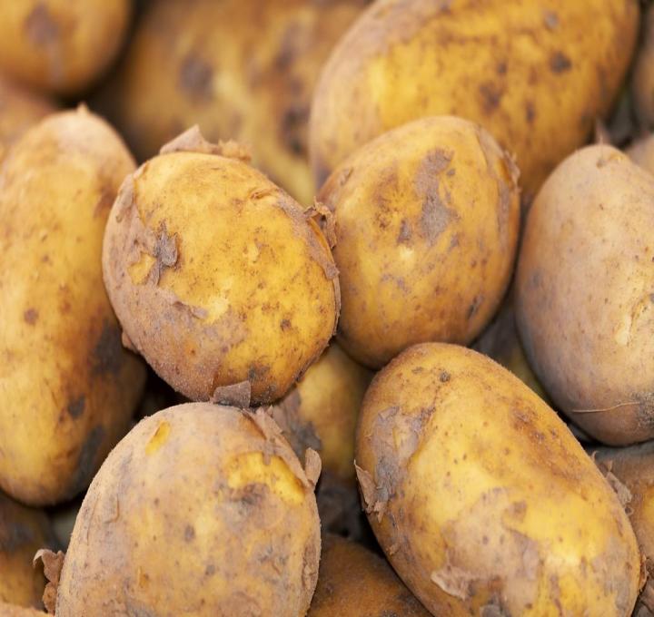 potato-3440360_1920_0.jpg